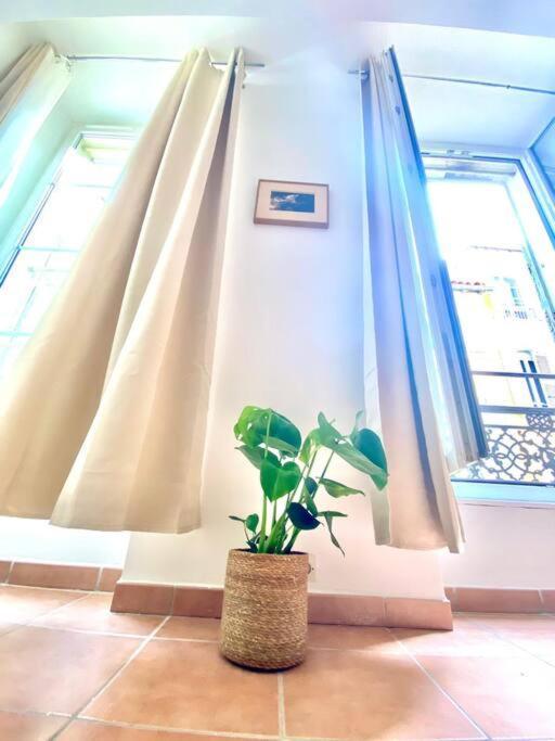 Appartamento Votre Pied-a-terre A T3 Cosy A Deux Pas Du Vieux-port Marsiglia